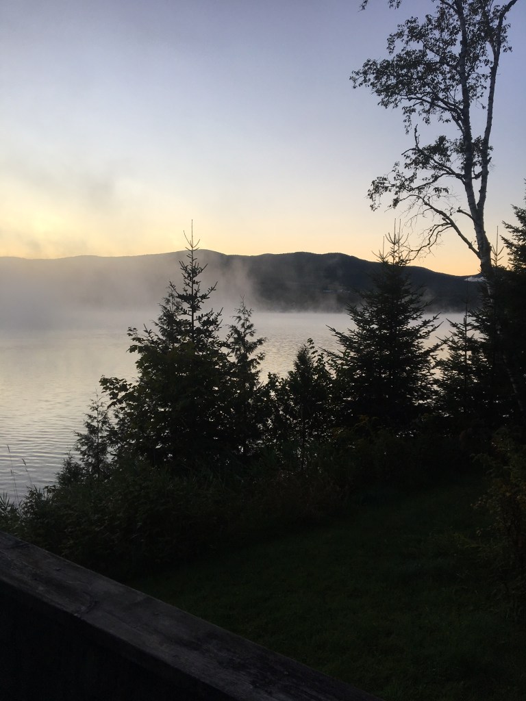 E3405172-F9F9-4033-A727-59BA4BDF14F8